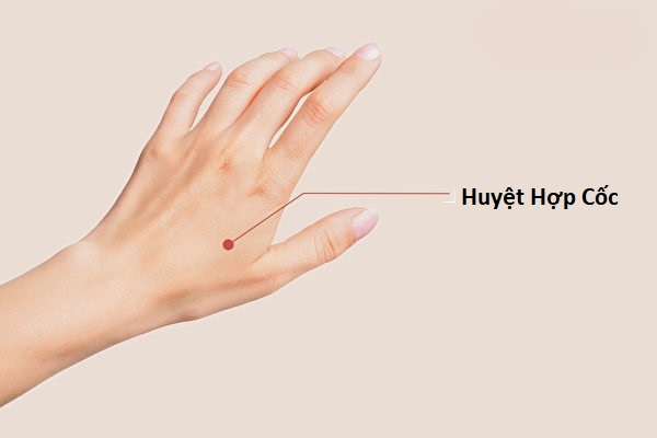huyệt hợp cốc