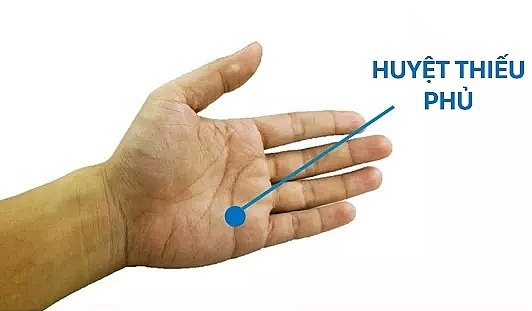 huyệt thiếu phủ