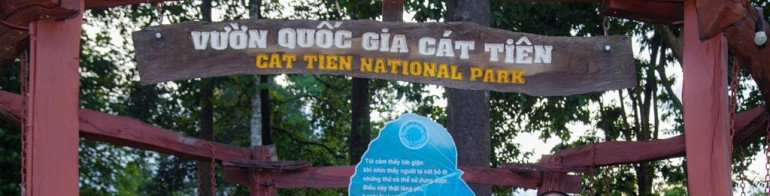 Tour Yoga retreat, thưởng ngoạn rừng quốc gia Cát Tiên